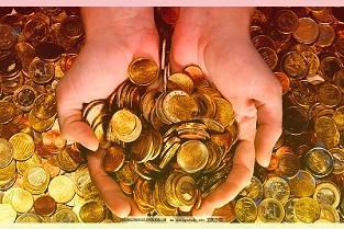 金埔园林拟联合云梦城投在湖北新设合资公司,占合资公司注册资本的 42%