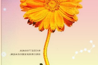 淮河能源拟向吸收合并的标的公司发行股份可转换公司债券及支付现金的方式吸收合并淮南矿业